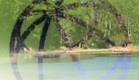 Lake County