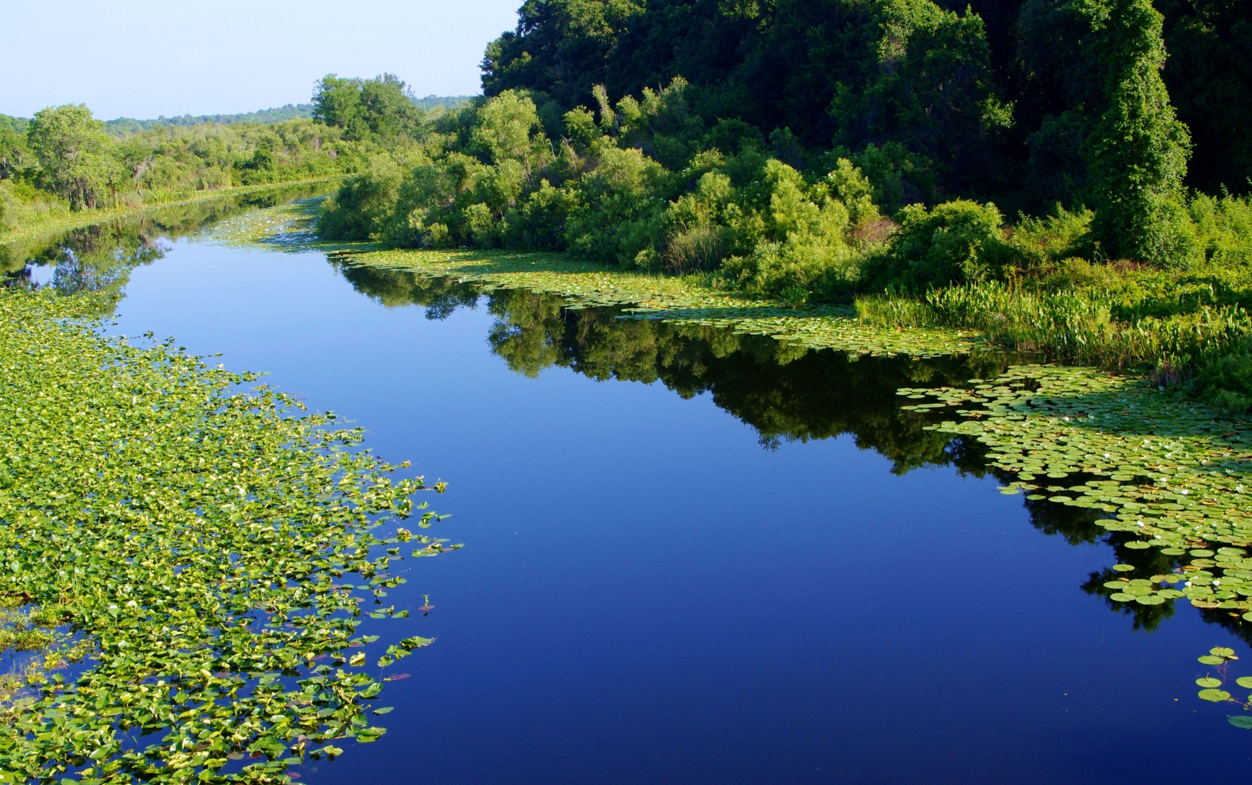 Lake County Water Resources Atlas: Water Resource: Ocklawaha River: Photos