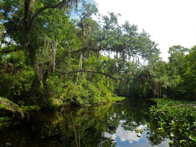 St. Johns River Watershed