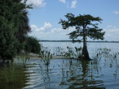  Lake Griffin