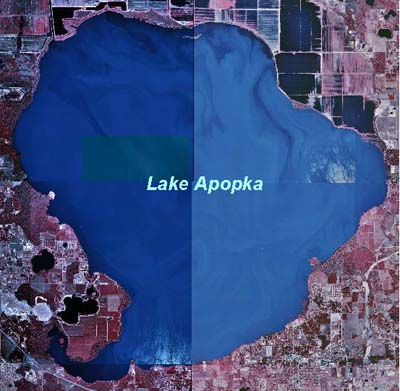  Lake Apopka