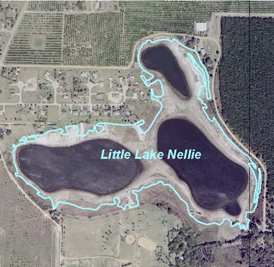 Little Lake Nellie