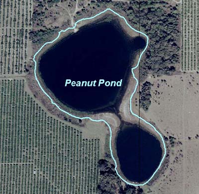 Peanut Pond